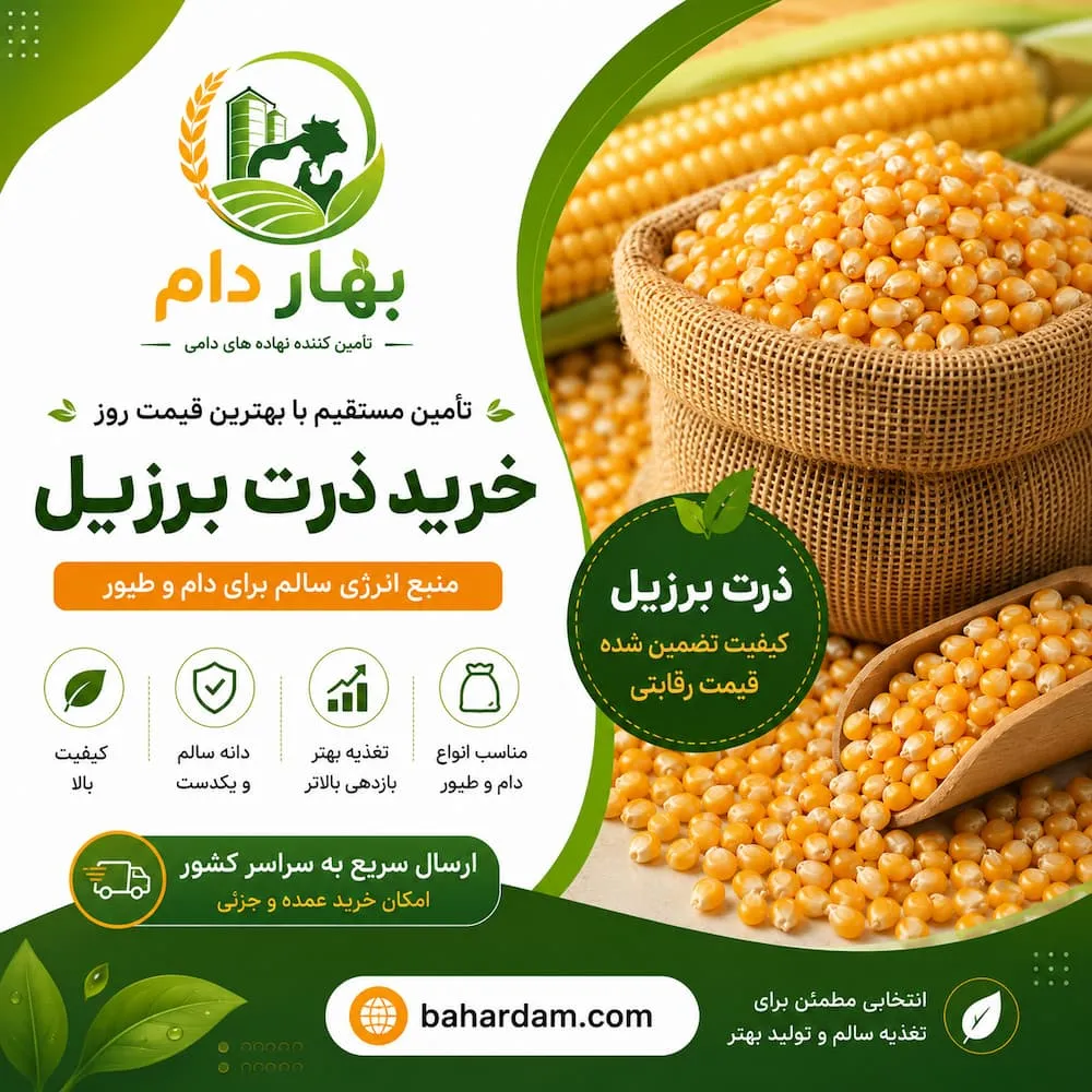 خرید ذرت برزیل